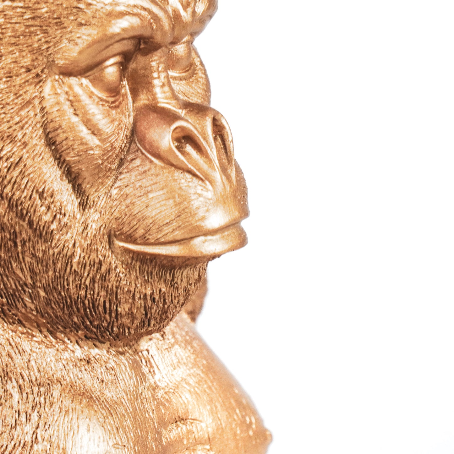 HV Gorilla Gold 24x26x36.5 cm