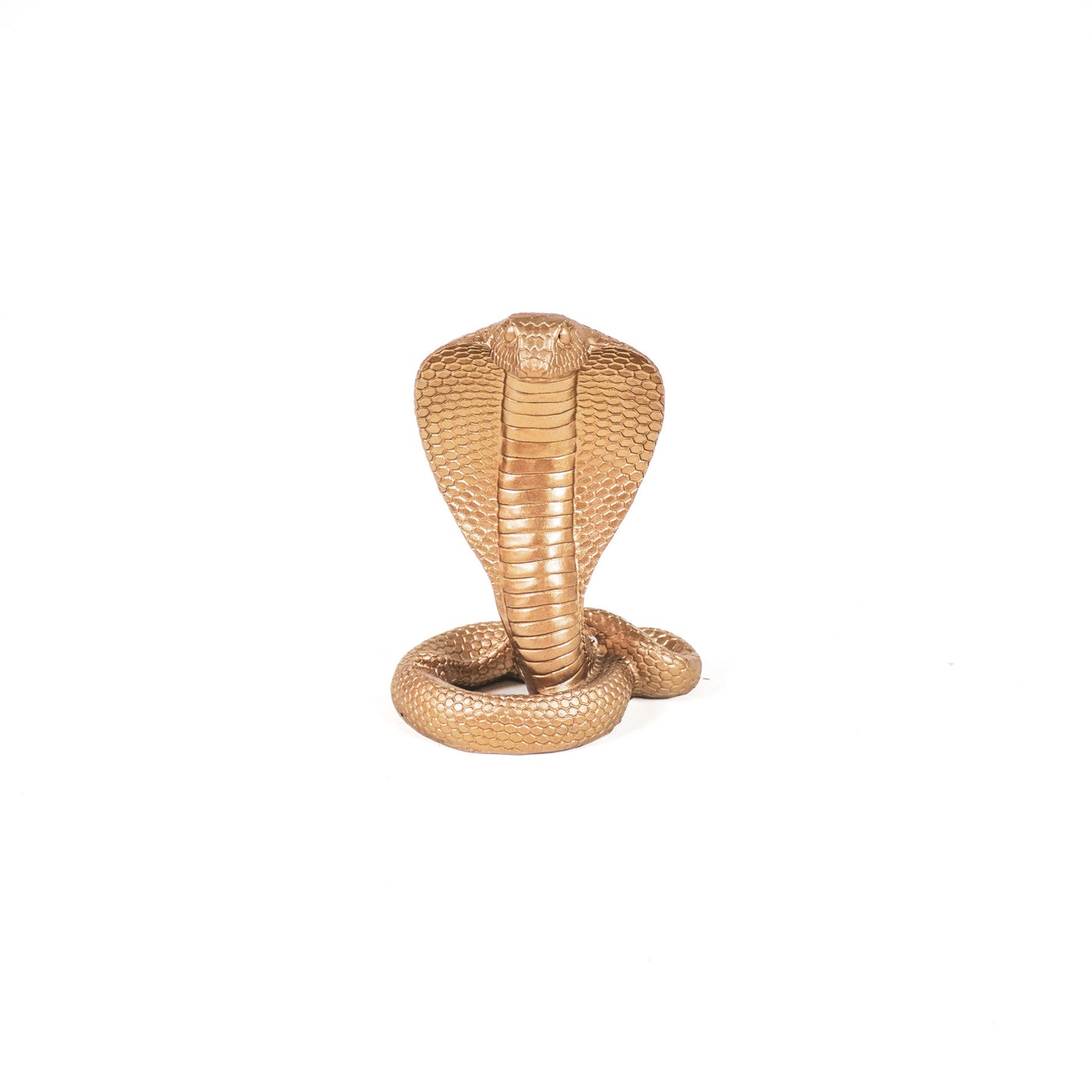 HV Snake Ornament - Gold- 15x11x19 cm