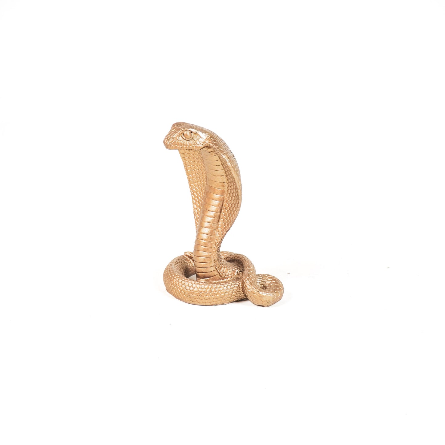 HV Snake Ornament - Gold- 15x11x19 cm