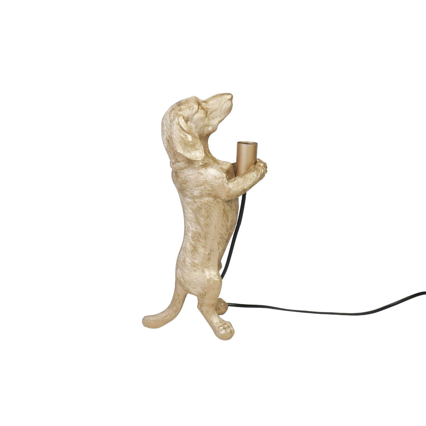 Table Lamp - Dachshund Lamp - Polyresin - Gold - E14 - 10x15x38cm