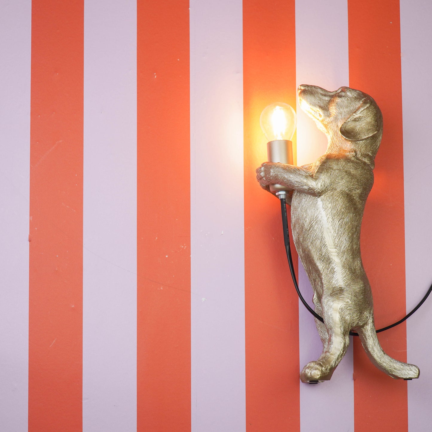 Table Lamp - Dachshund Lamp - Polyresin - Gold - E14 - 10x15x38cm