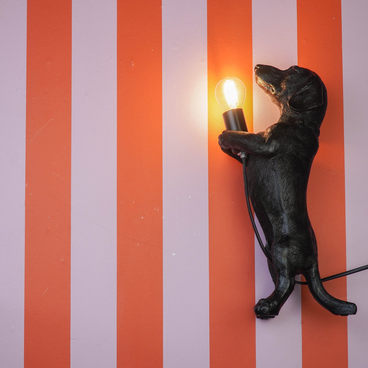 Table Lamp - Dachshund Lamp - Polyresin -Black - E14 - 10x15x38cm