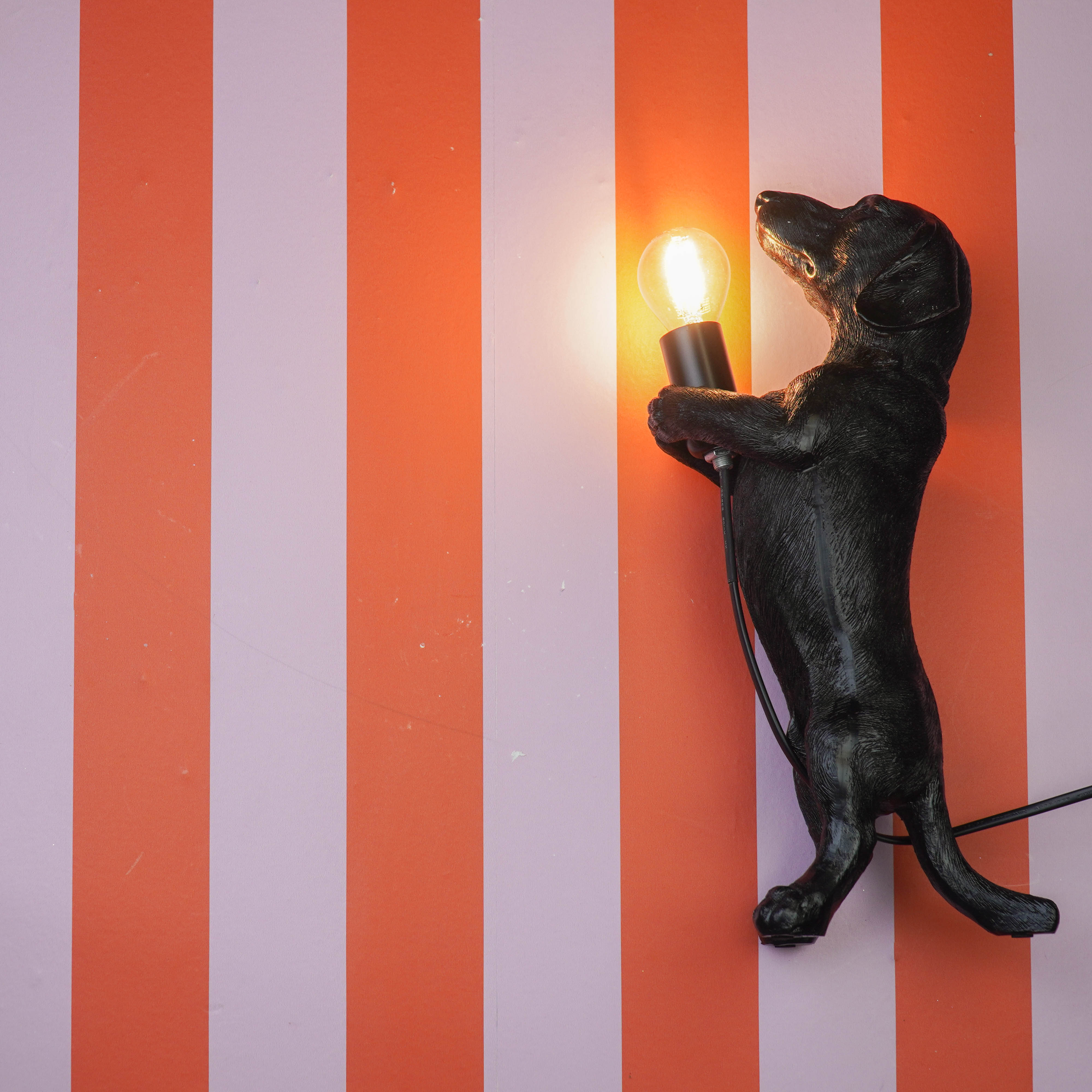 Table Lamp - Dachshund Lamp - Polyresin -Black - E14 - 10x15x38cm