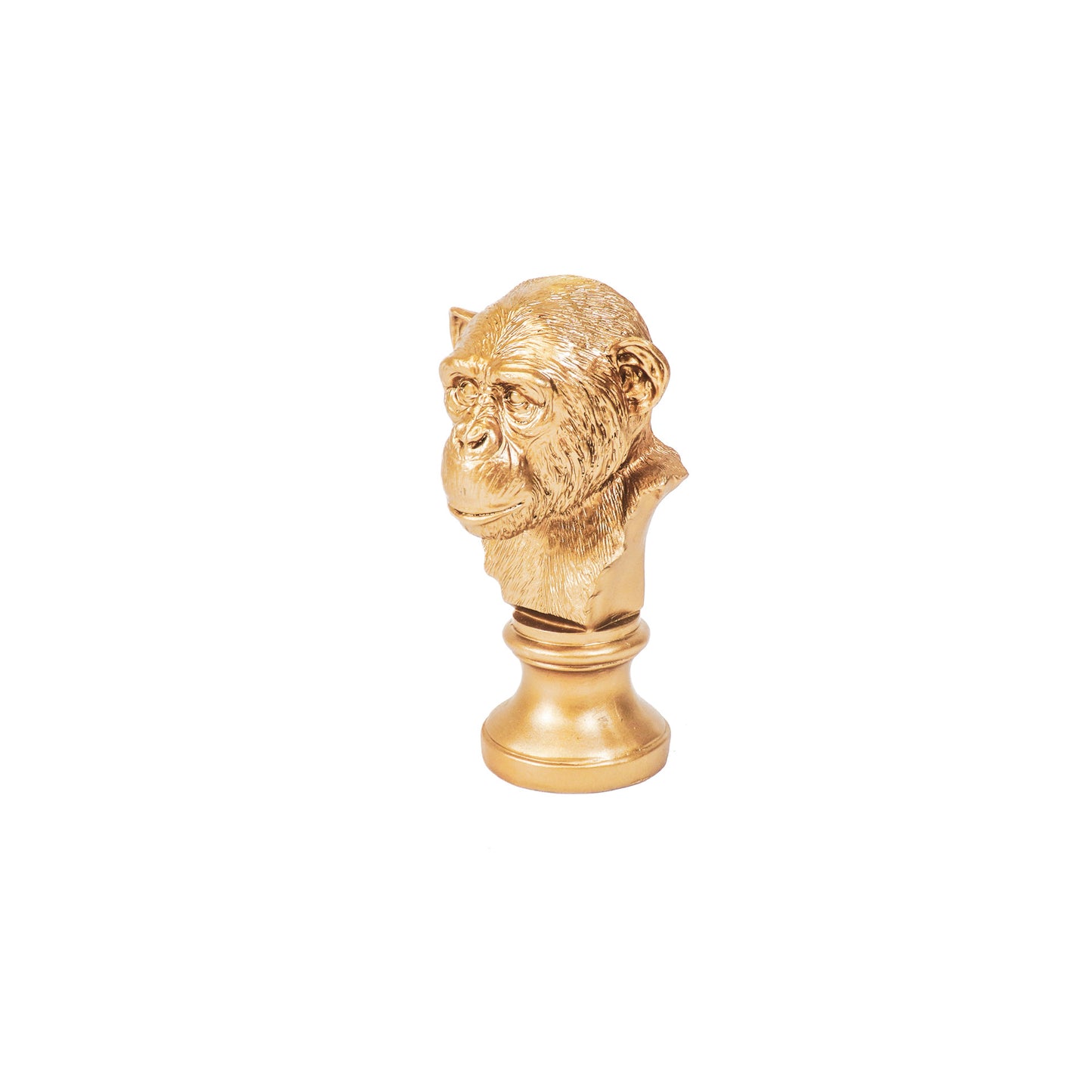 HV Monkey Head- Gold-15.5x15.5x28.5cm