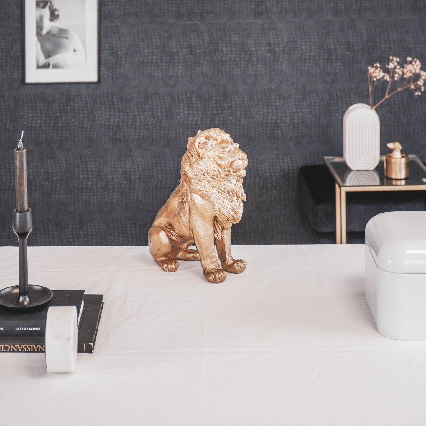 HV Golden Lion- Sitting