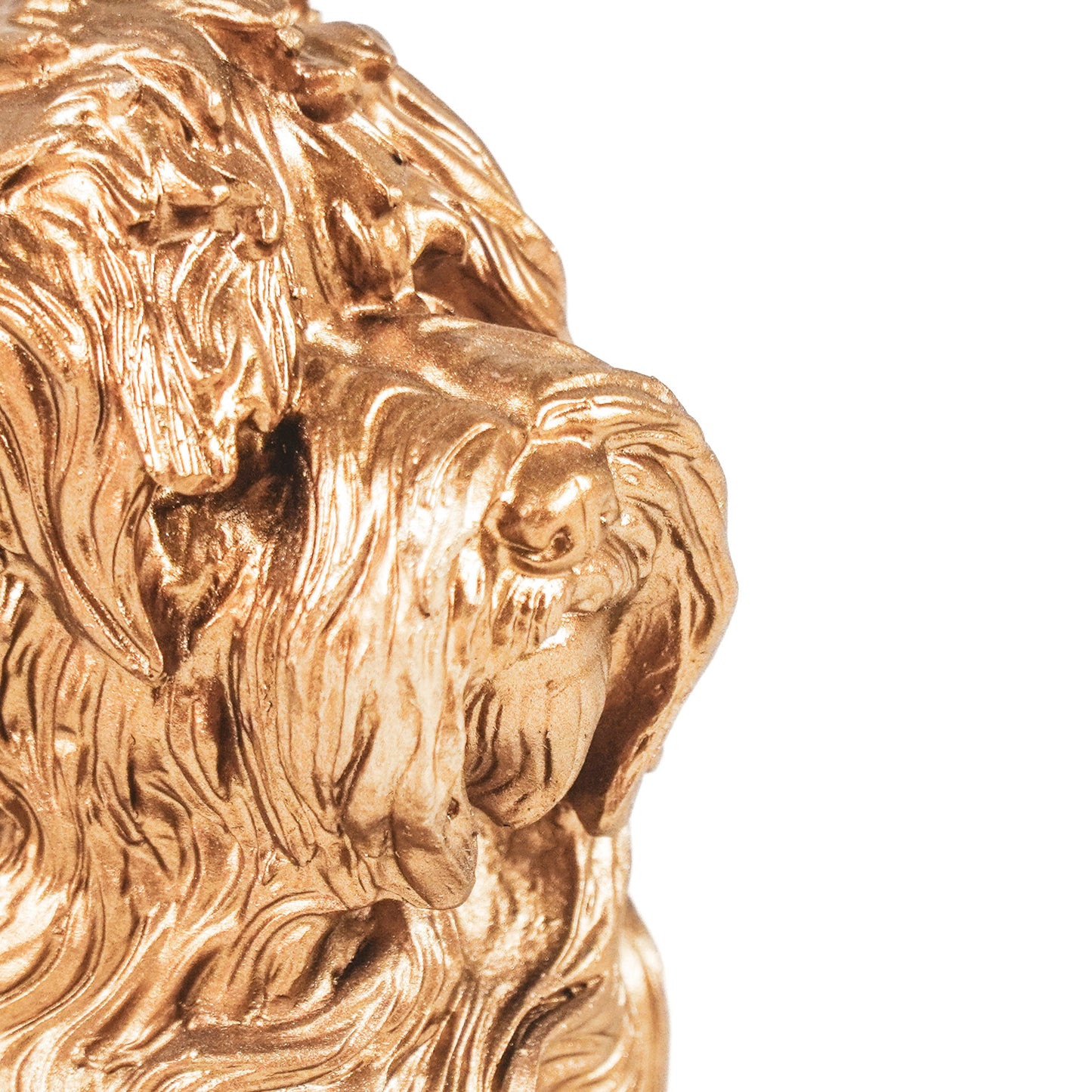 HV Golden Labradoodle