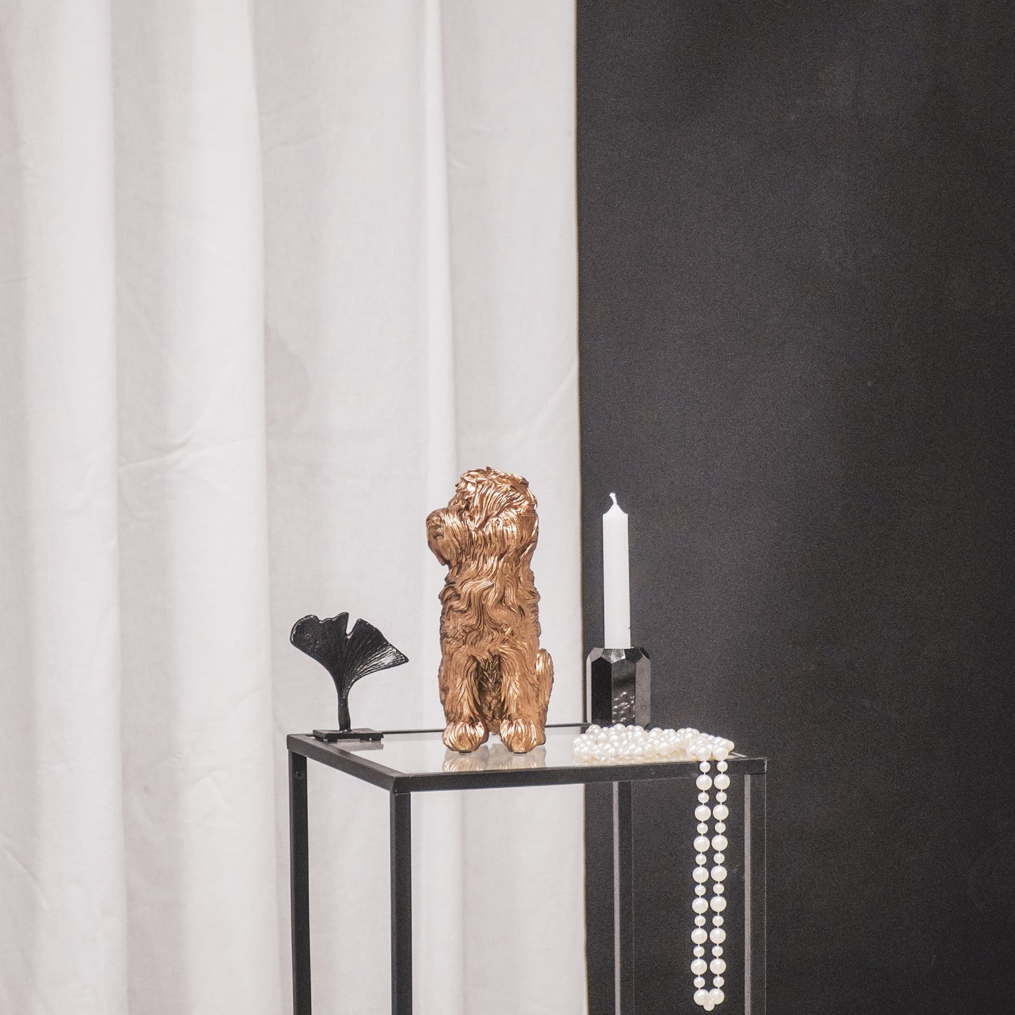 HV Golden Labradoodle