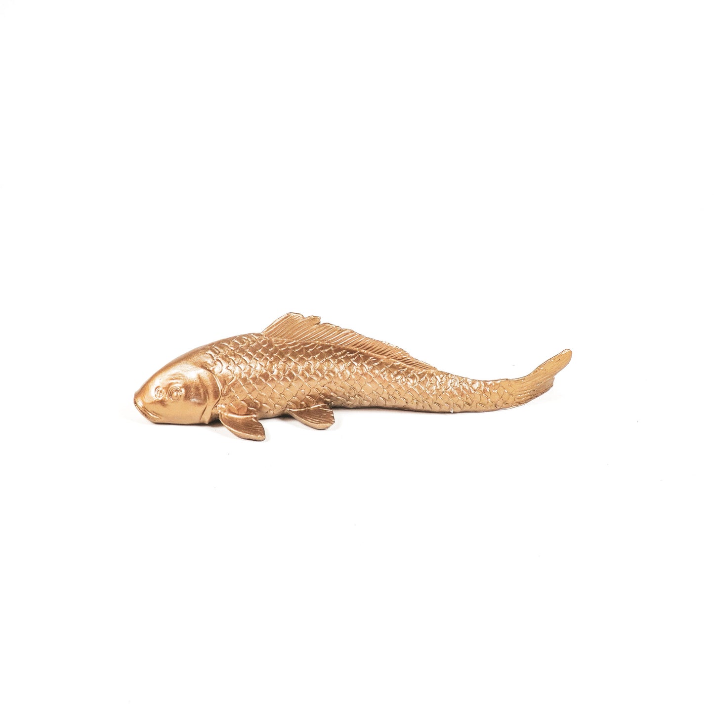 HV Carp Fish- Gold- 21.5x9x18.5 cm
