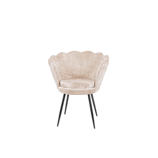 HV Dinner Chair Shell - Set of 2 - Taupe/Brown - 68x65x83cm