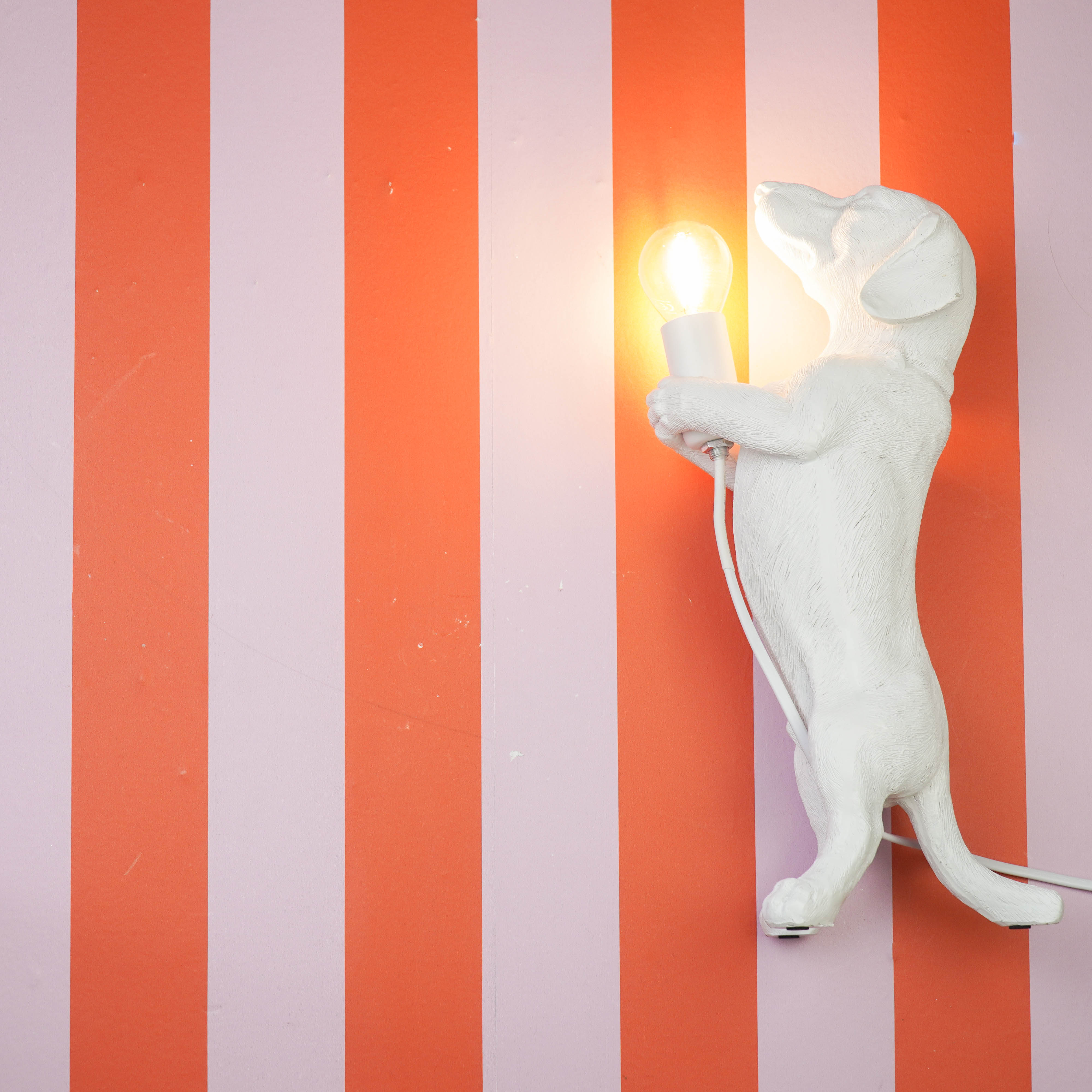 Table Lamp - Dachshund Lamp - Polyresin - White - E14 - 10x15x38cm