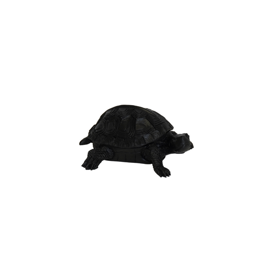 Turtle Box - Polyresin -  Black - 15.5x13.5x7.5cm