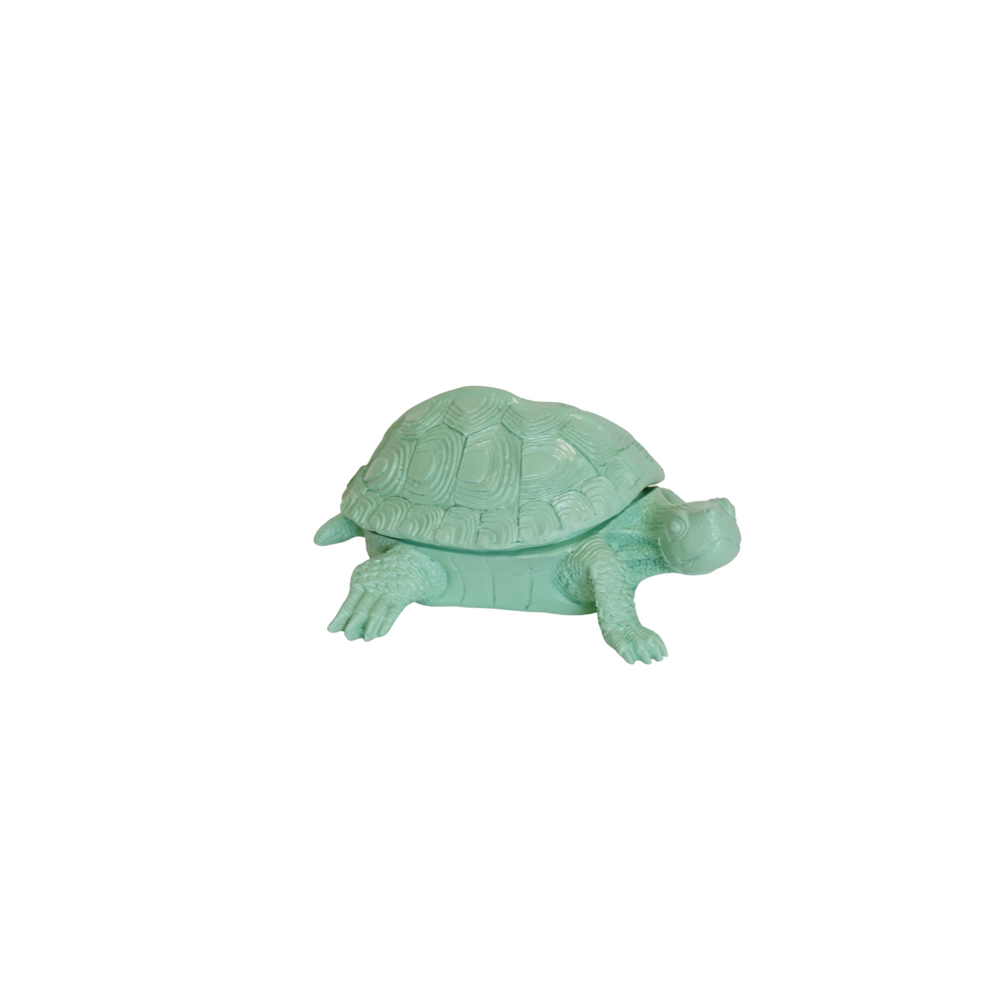 Turtle Box - Polyresin - Mintgreen - 15.5x13.5x7.5cm