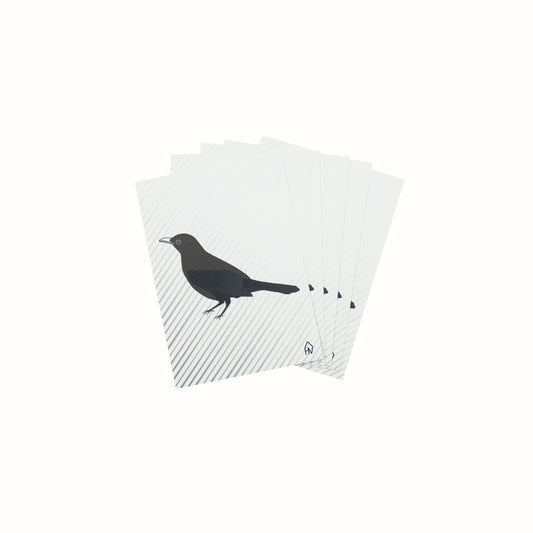 Housevitamin Postcard Black Bird - Set of 5 - A6