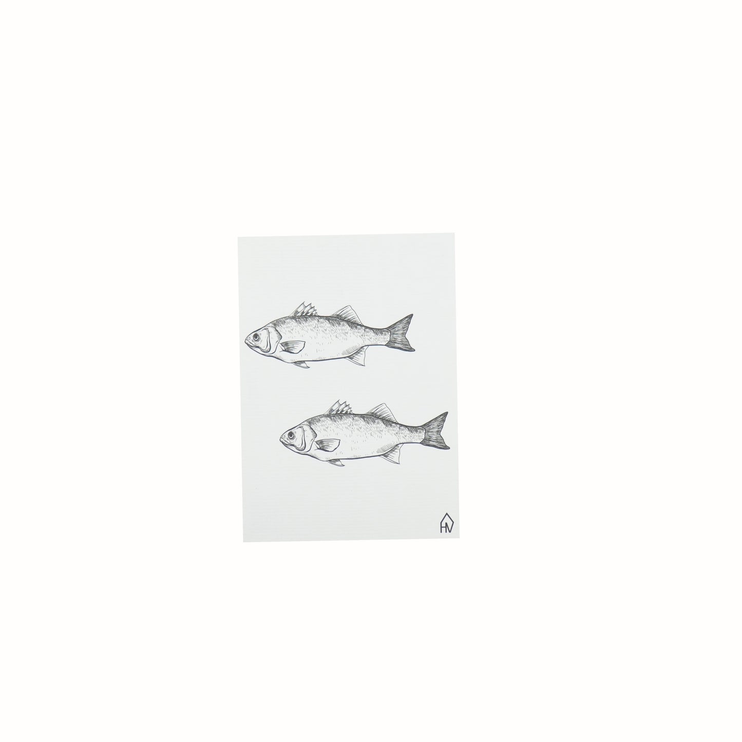 HV Postcard Fish - A6