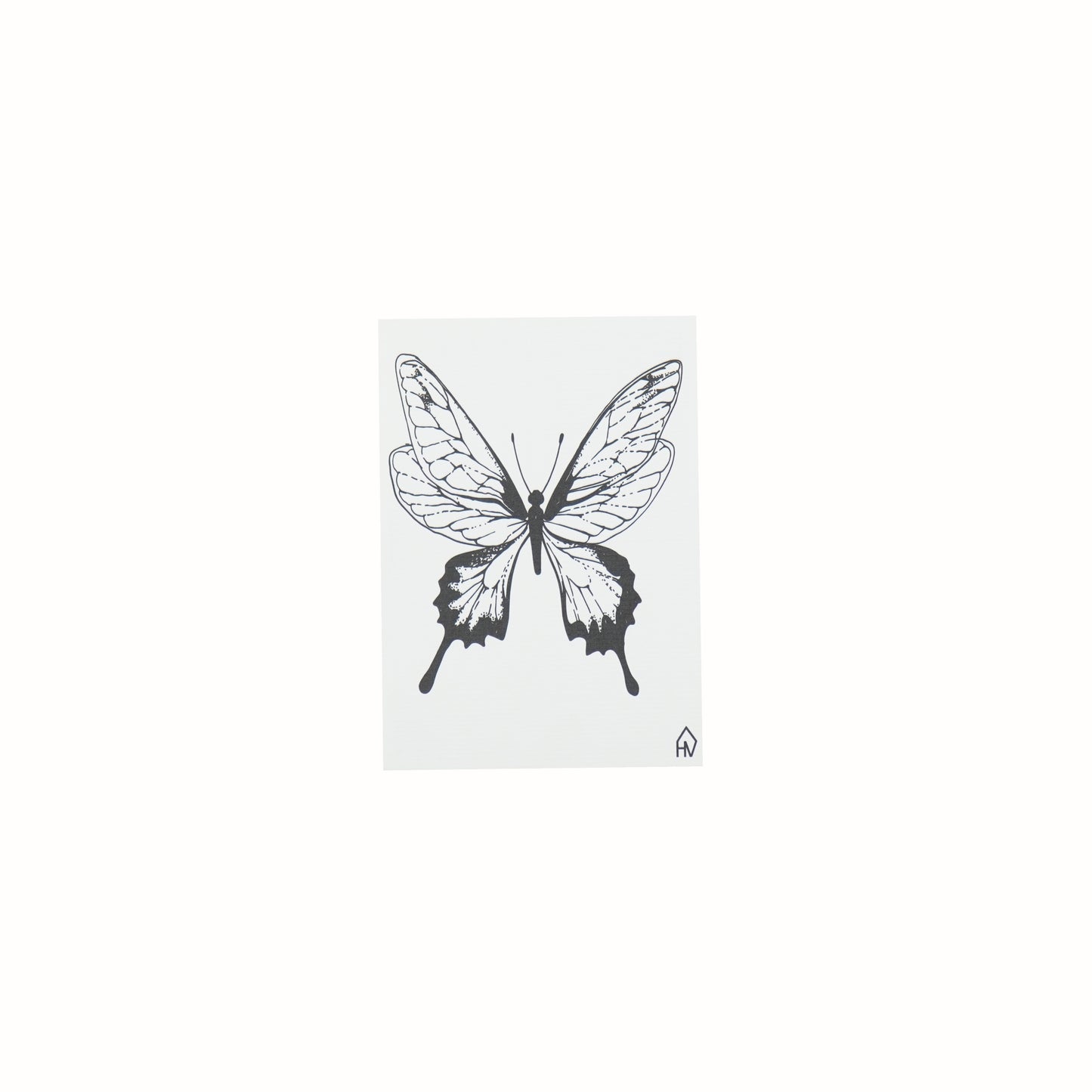Postcard - Paper - Butterfly - Set of 5 - A6