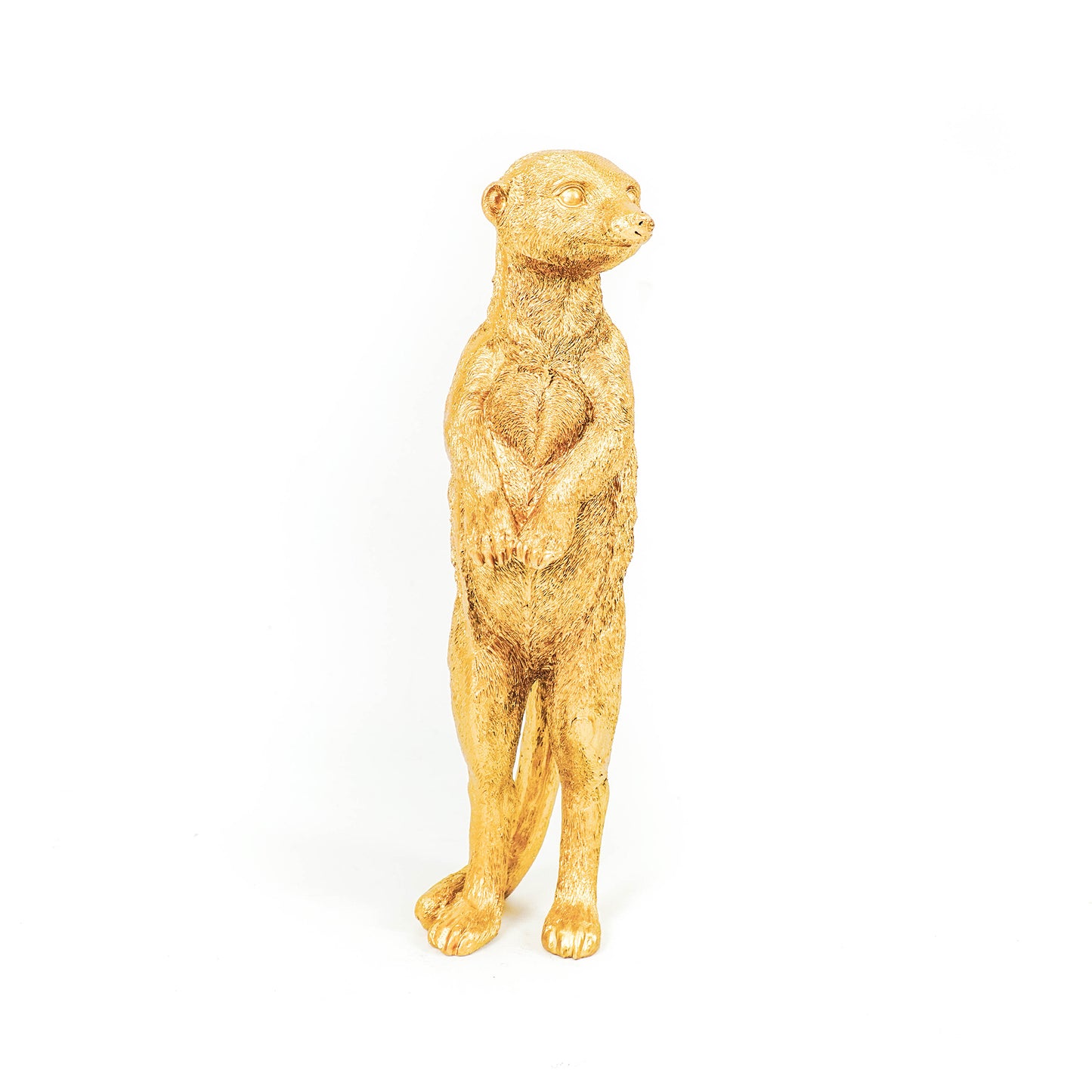 HV Meerkat Gold 9x10x35cm