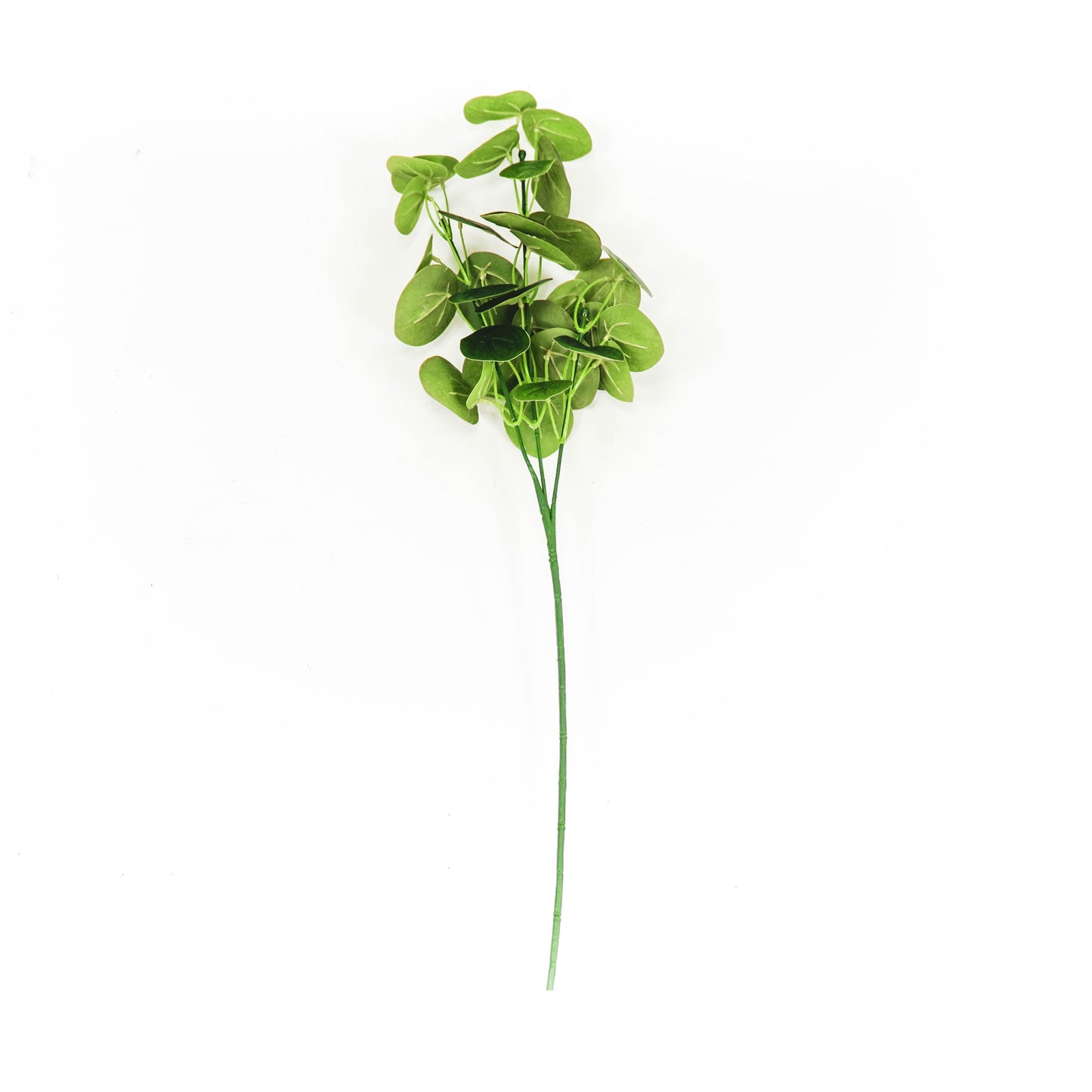 HV Plant Long Bush - Eucalyptus - 10x16x65cm