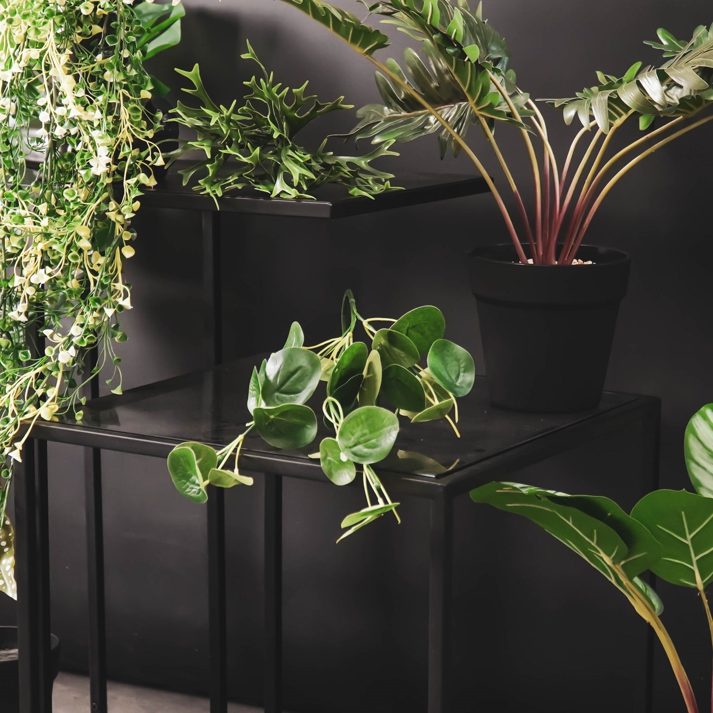 HV Plant Long Bush - Eucalyptus - 10x16x65cm
