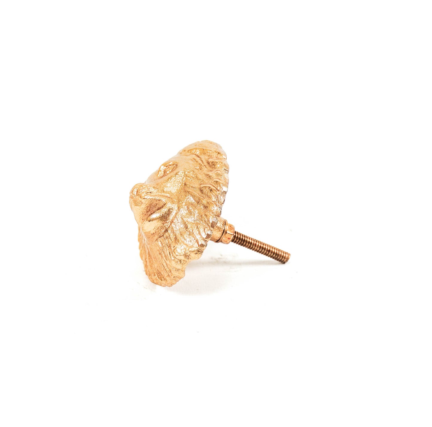 HV Doorknobs Lion - Gold - 8x8x5cm