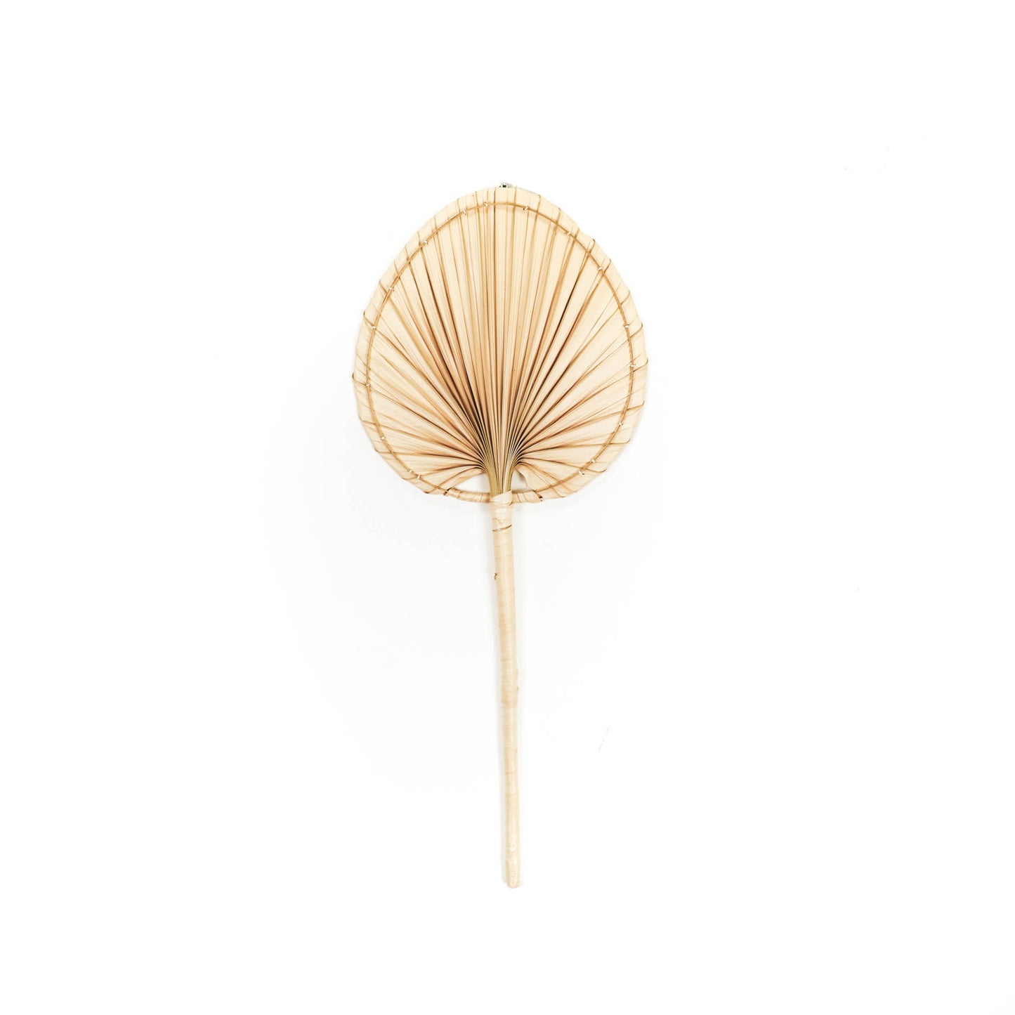 HV Palm Leaf 29x3x72 cm