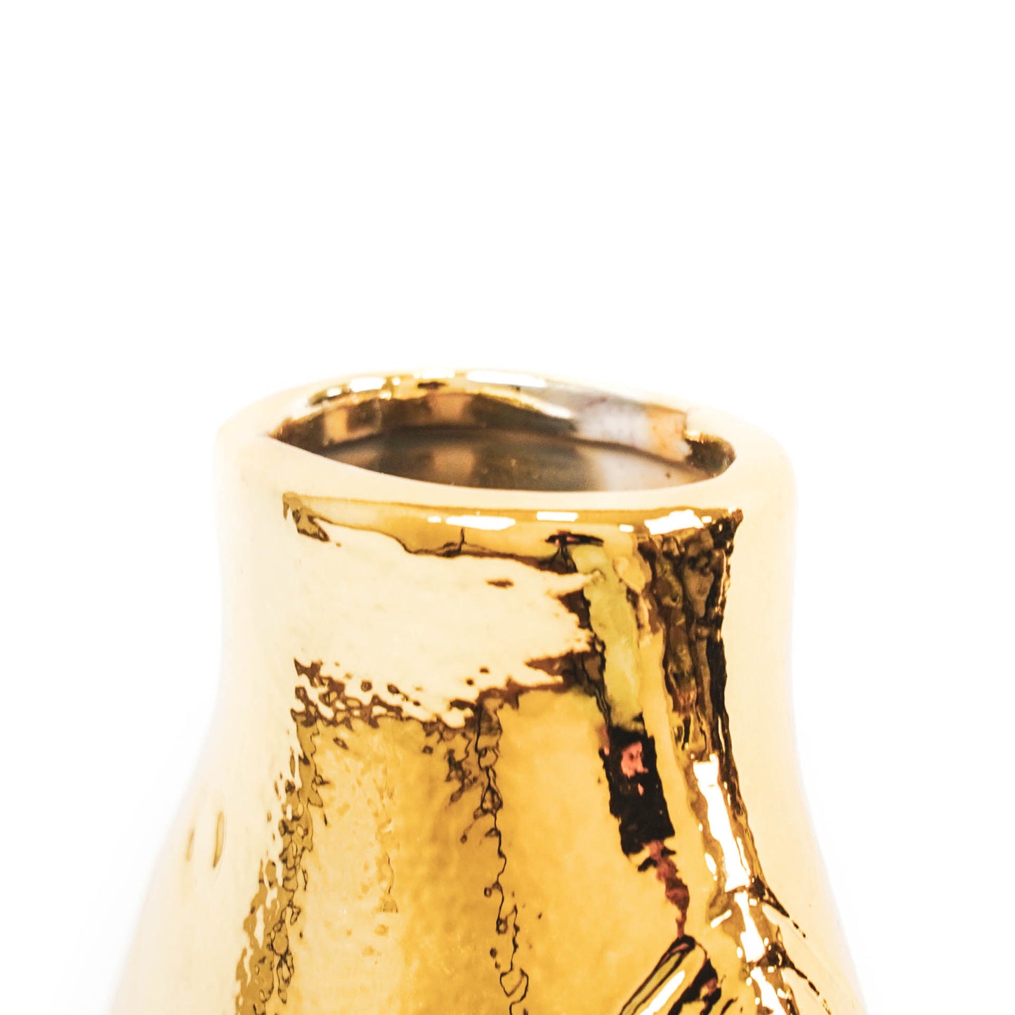 HV Golden Fish Vase - 13,5x10x25cm