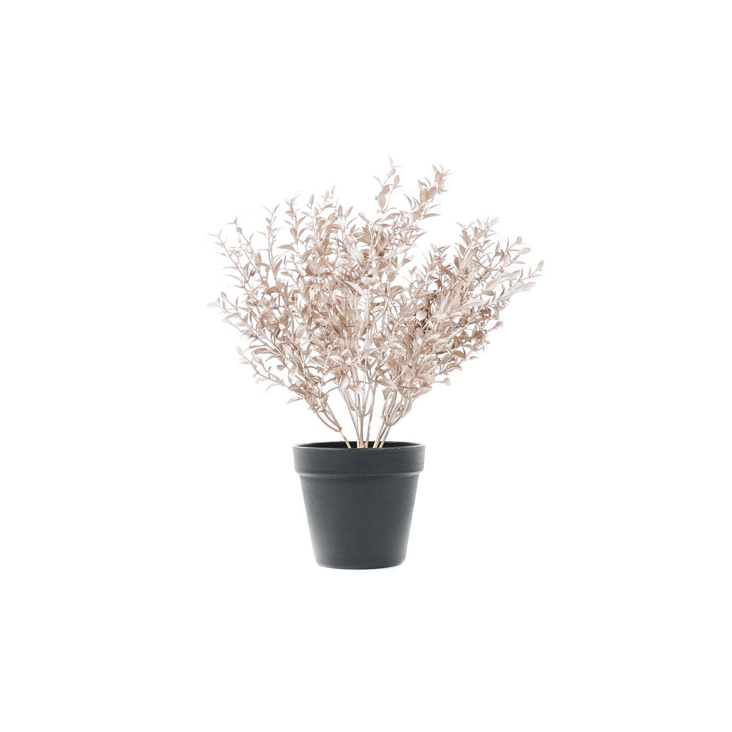 HV Bronze Golden Plant with black pot - Polysterene
