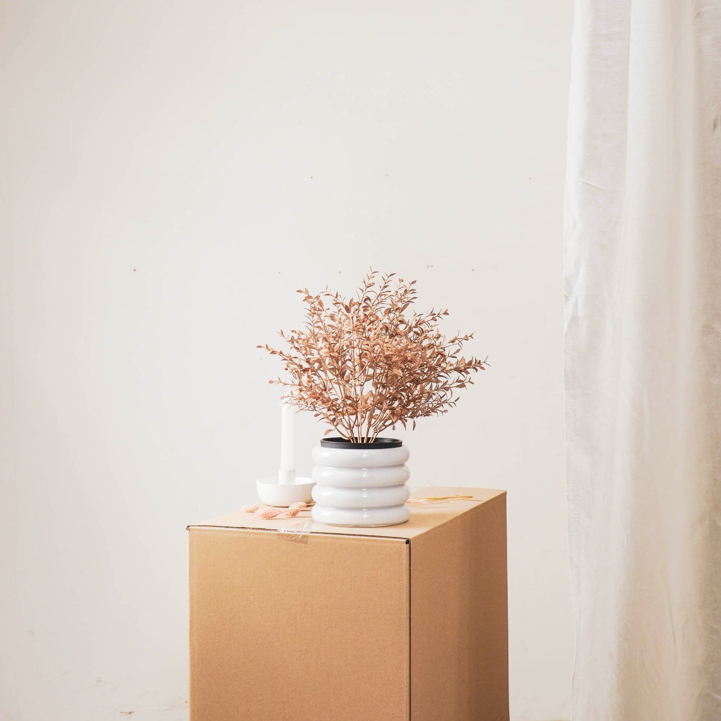 HV Golden Plant with black pot - Polysterene