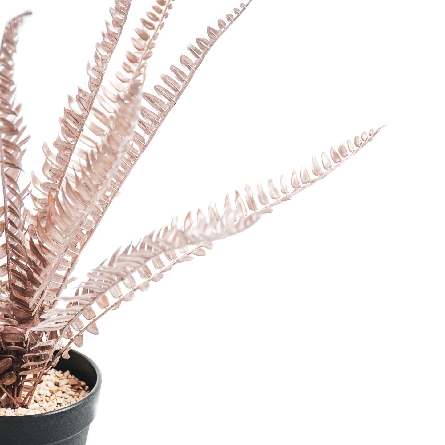 HV Brons Golden Fern - 15x30x45cm - Polysterene