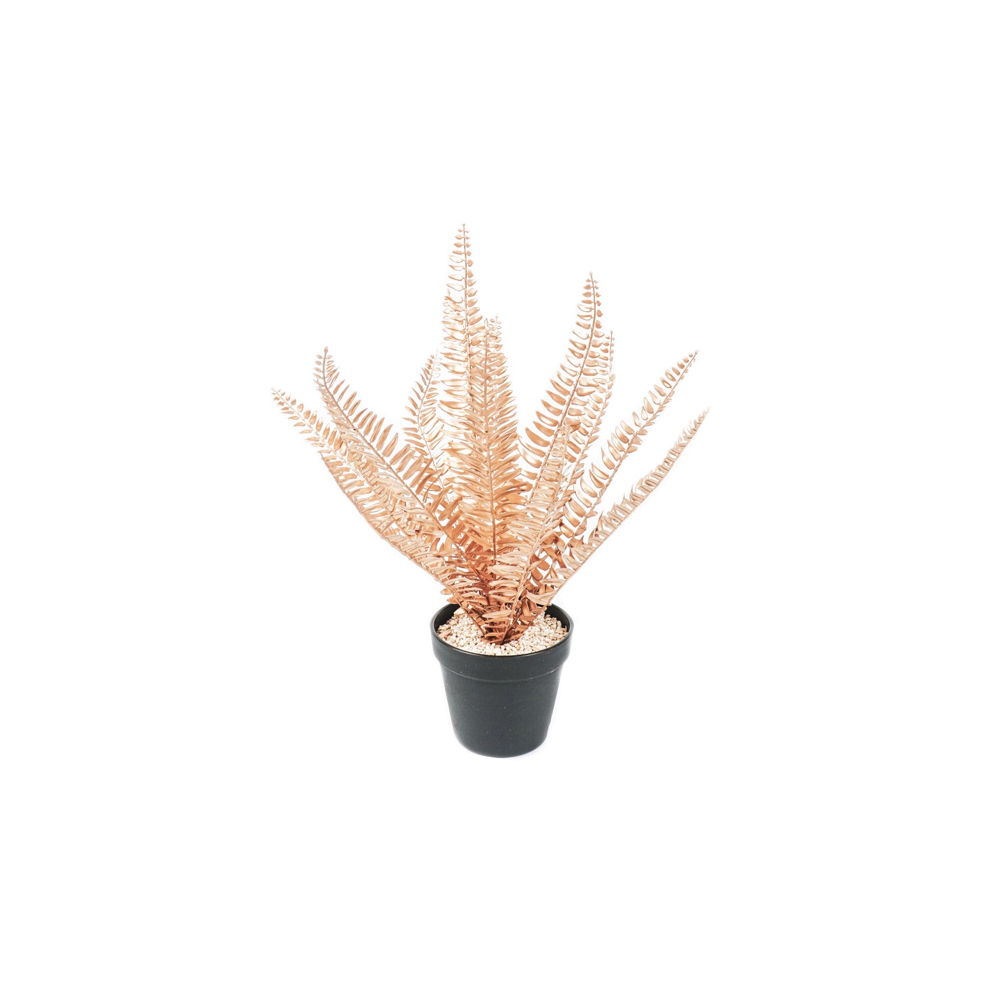 HV Golden Fern - 15x30x45cm - Polysterene
