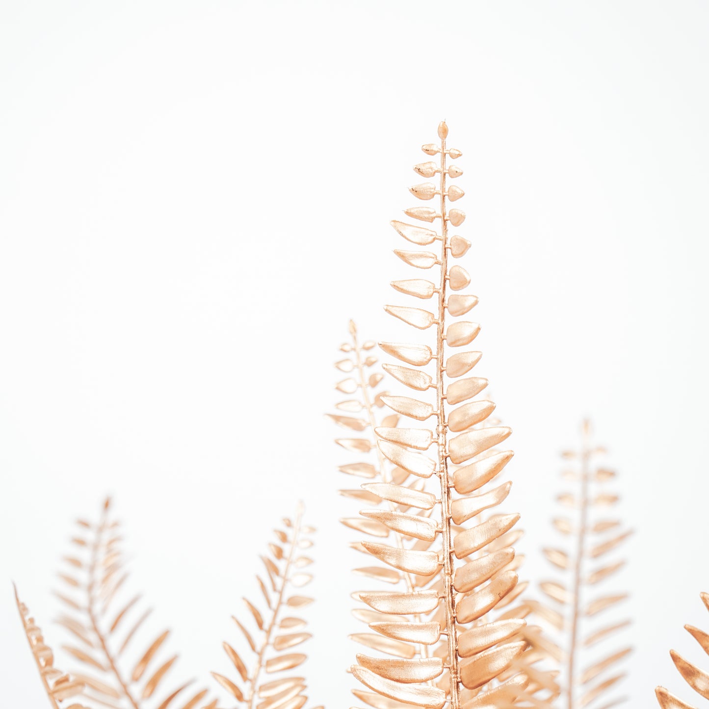 HV Golden Fern - 15x30x45cm - Polysterene