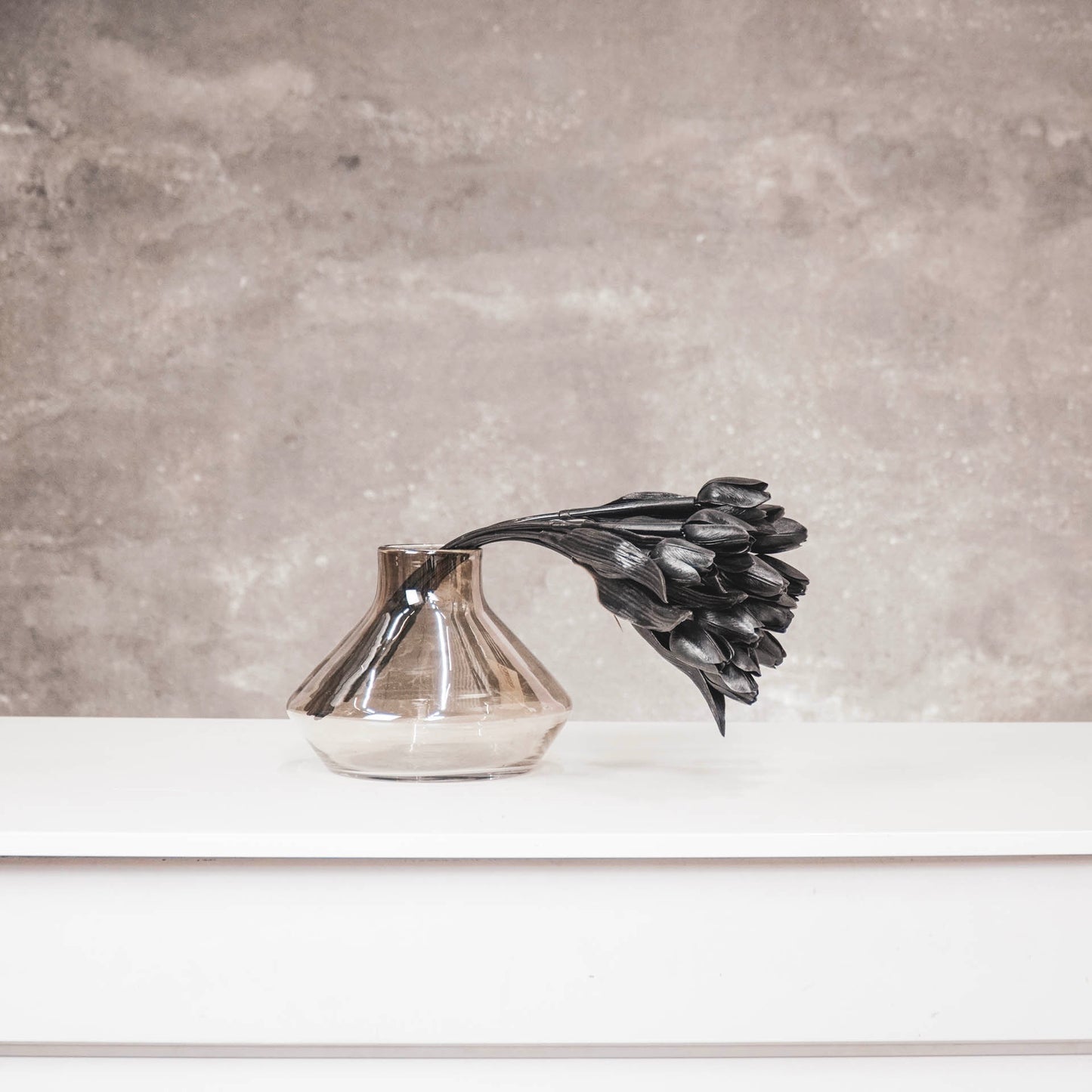 HV 12 Black Tulips - 20x40 cm - Polysterene