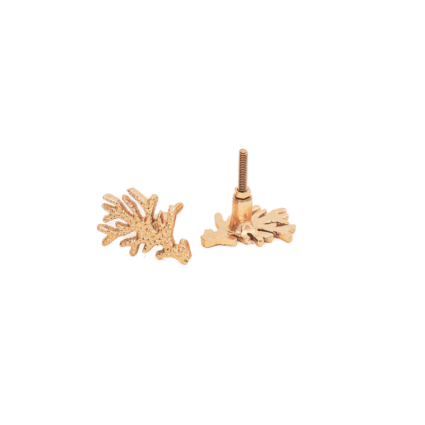 HV S2 Doorknobs Seaweed-6x6x9 cm