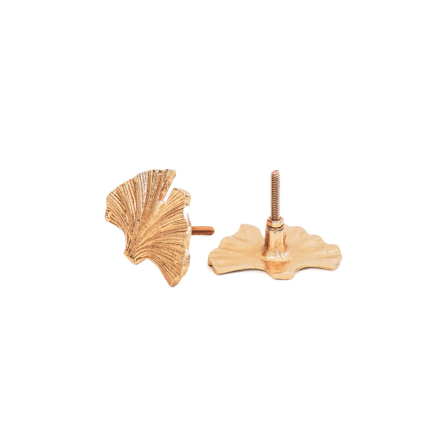 HV Set of 2 doorknobs Ginkgo leafs- 6x4x6cm