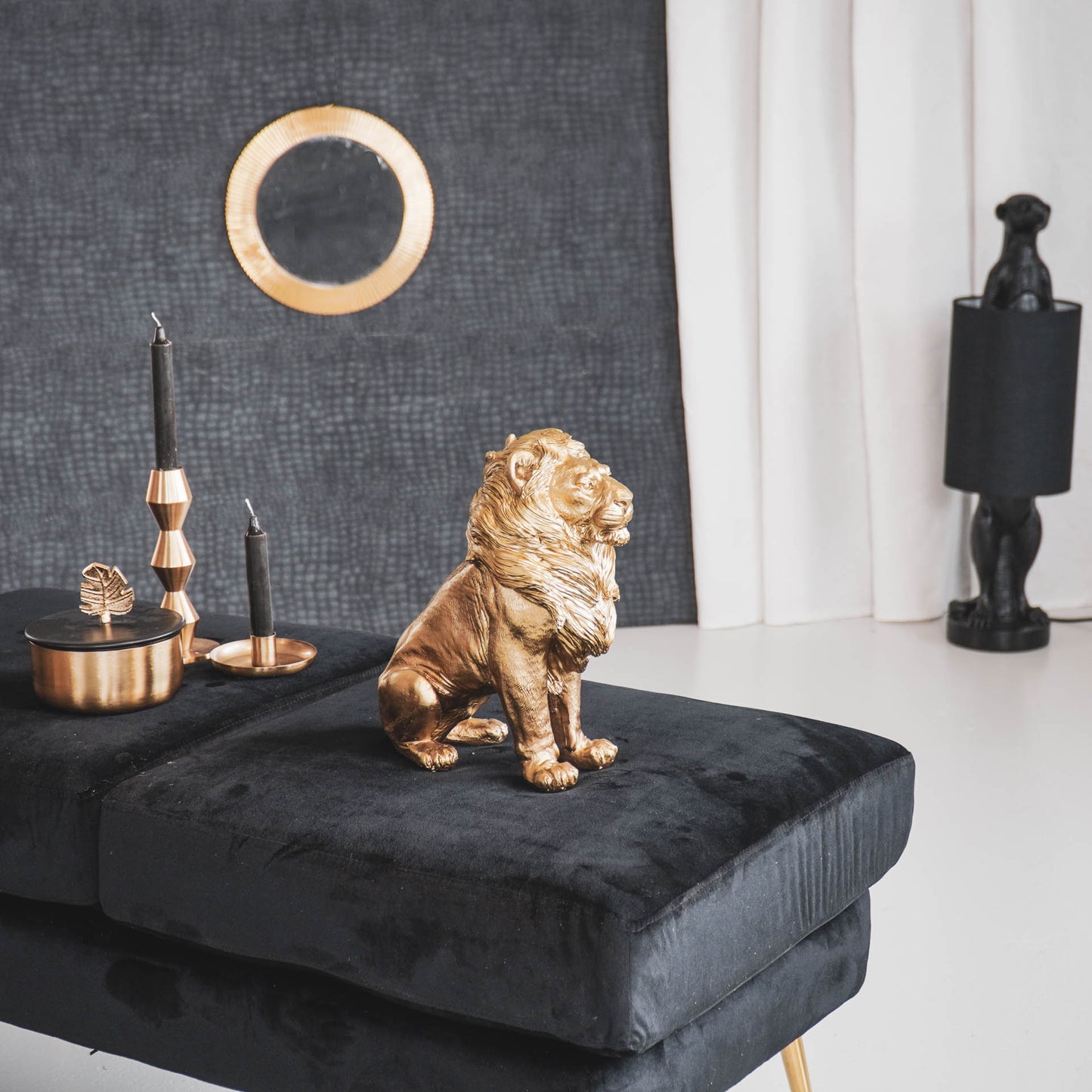 HV Golden Lion- Sitting