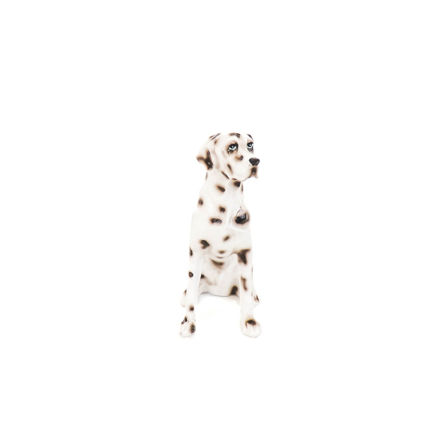 HV Dalmatian - Black/White