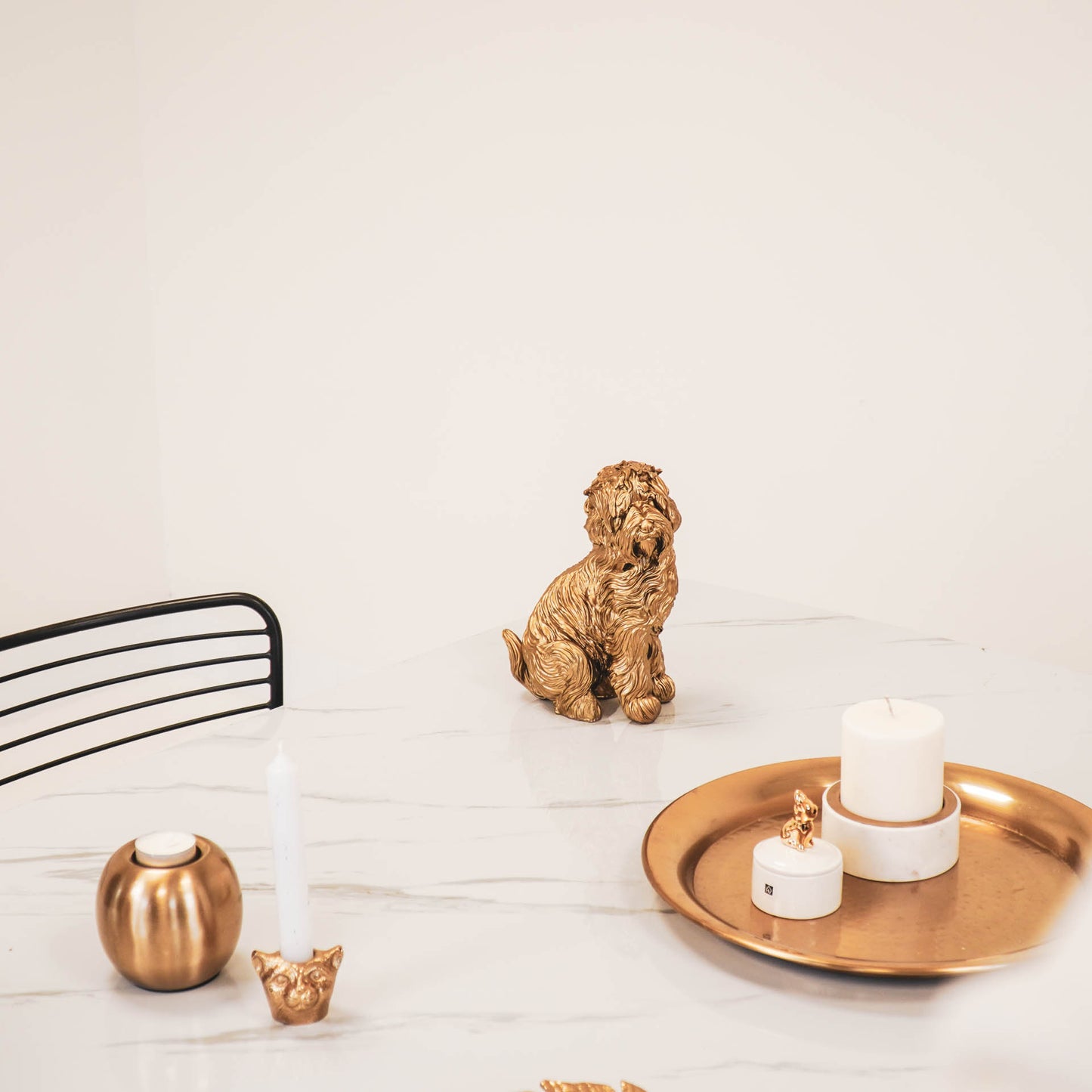 HV Golden Labradoodle