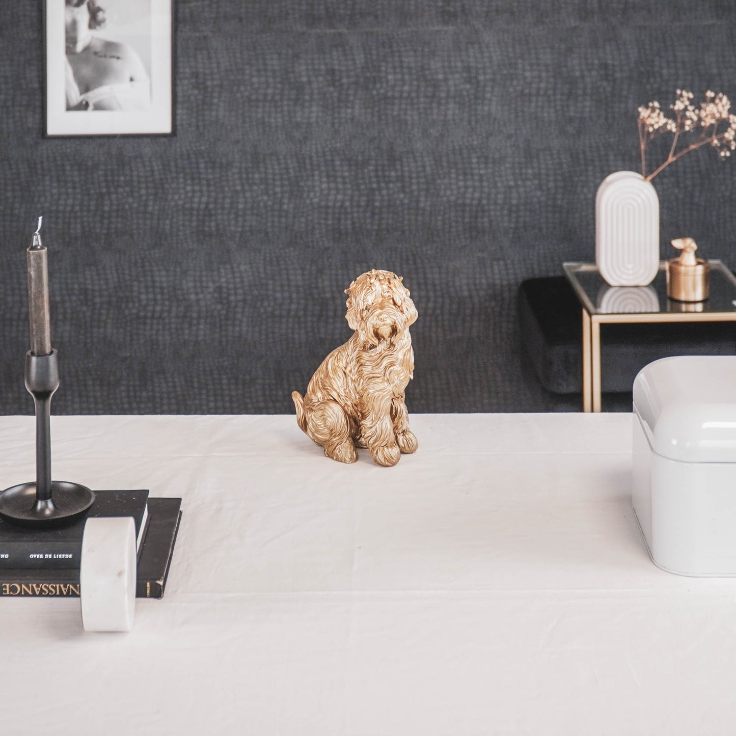 HV Golden Labradoodle