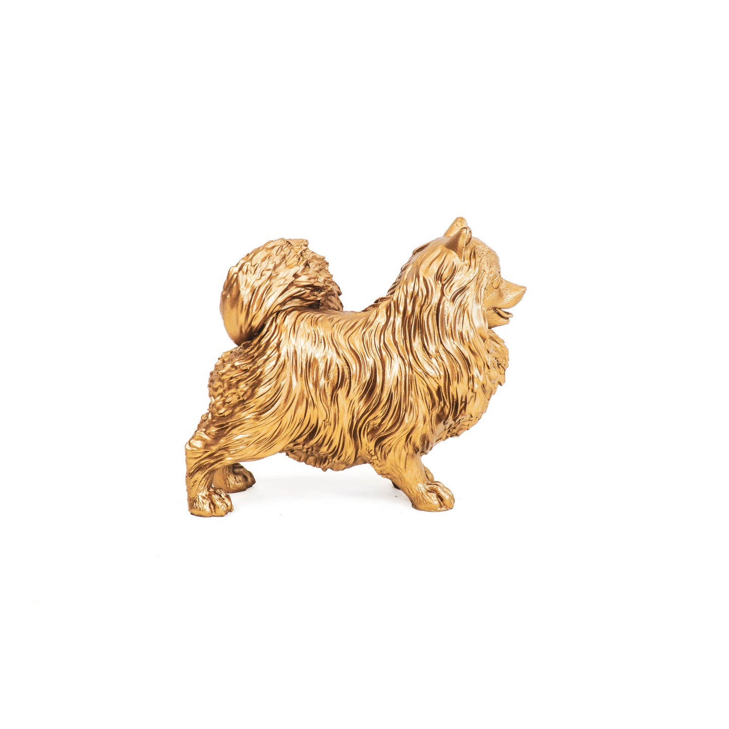 HV Golden Pomeranian - 23x10x18cm