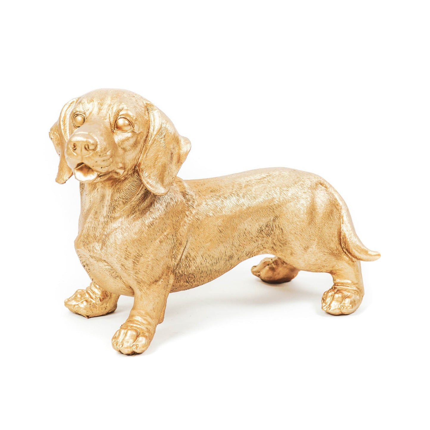 Ornament - Tackle Dog - Polyresin - Gold - 20x8x15cm