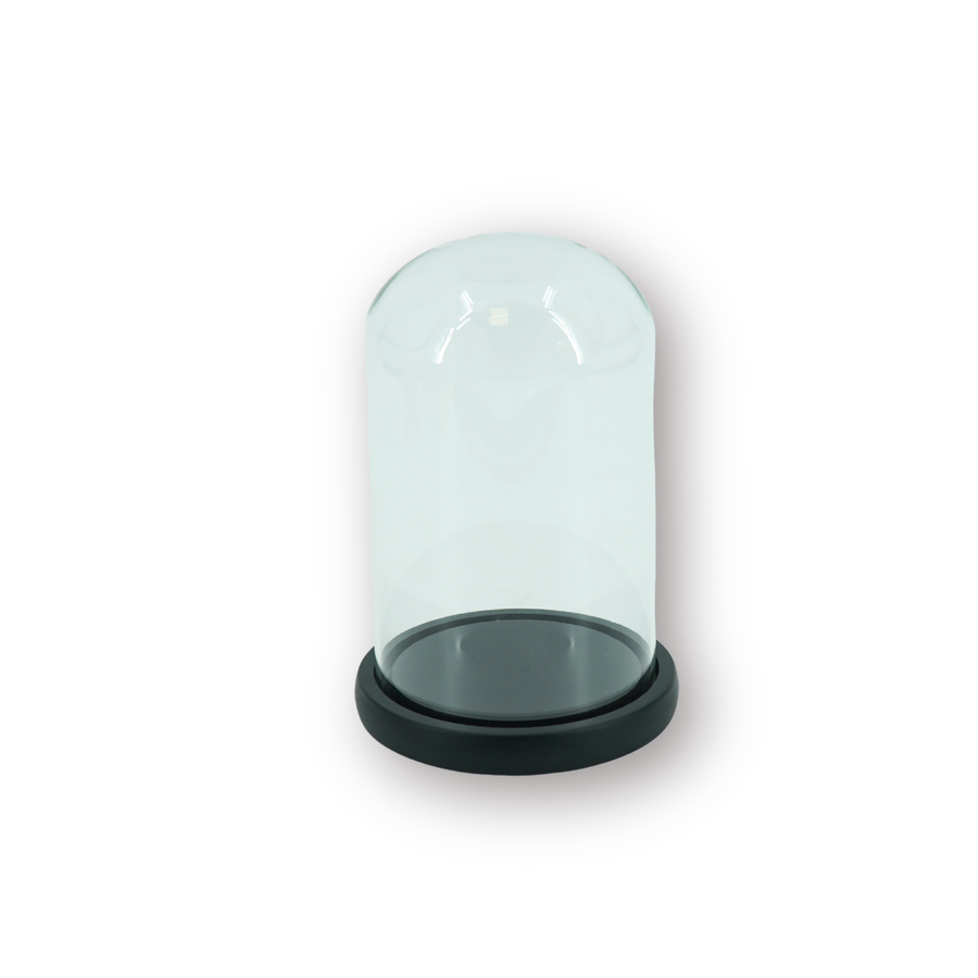 Bell Jar - Glass/Wood - Black -  14x14x22 cm
