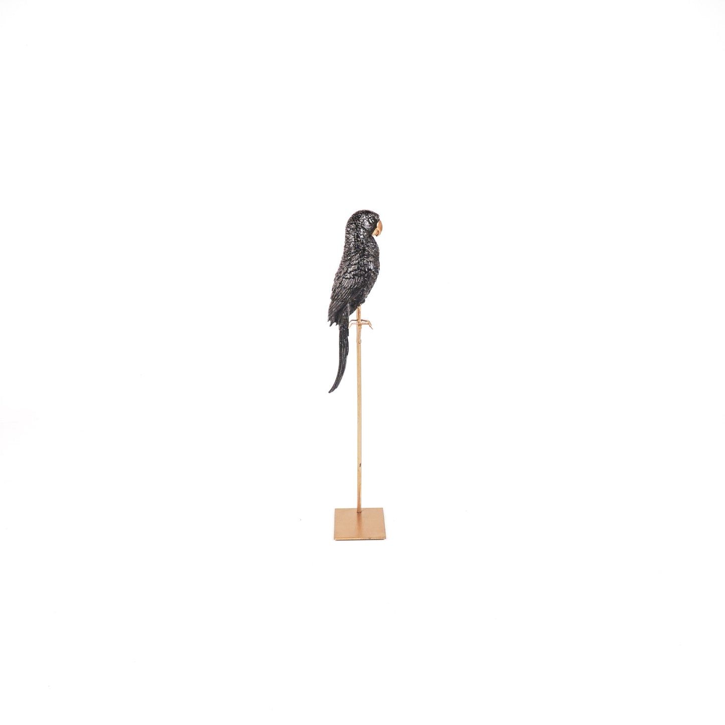 HV Parrot on a Stick- Gold/ Black - 8.5x11x44 cm