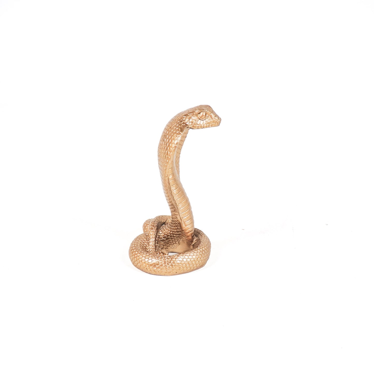 HV Snake Ornament - Gold- 15x11x19 cm