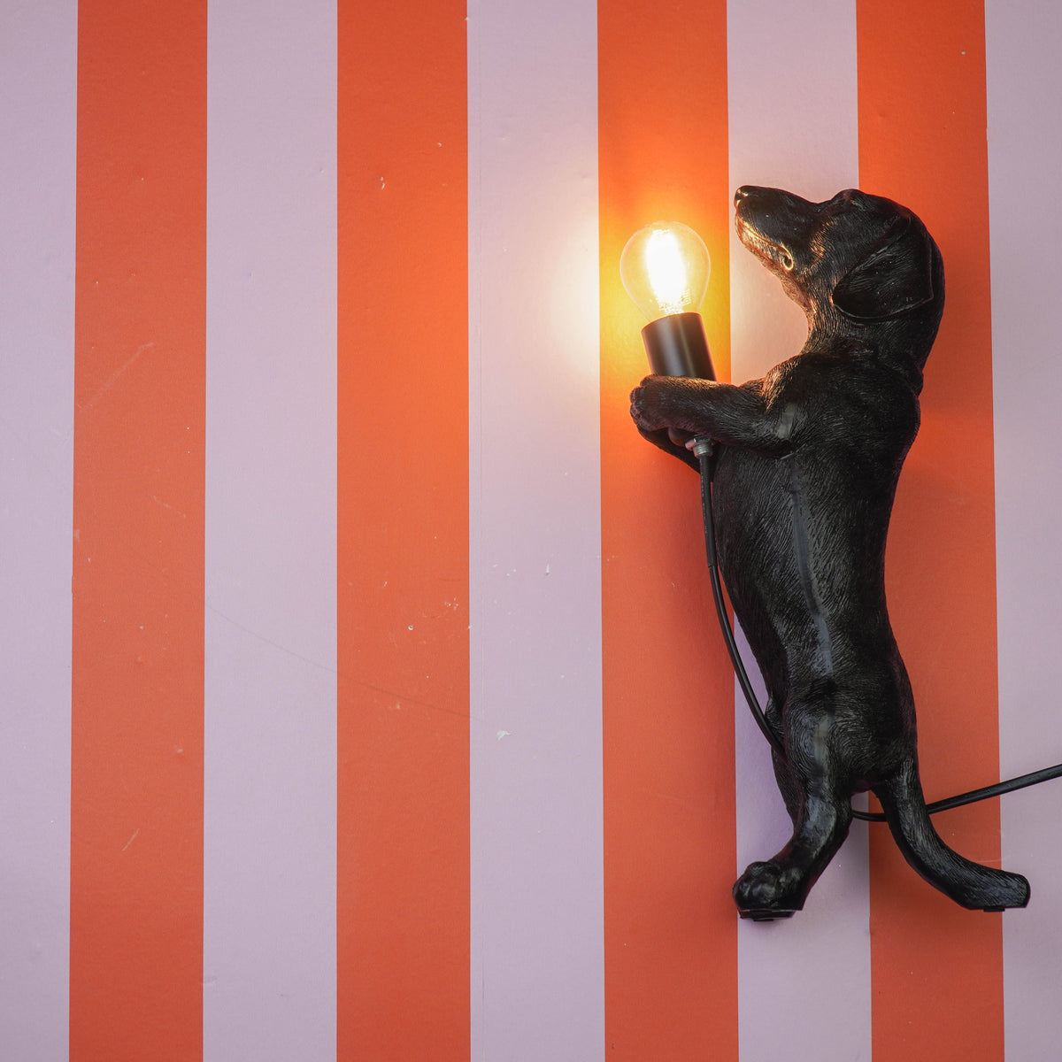 Table Lamp - Dachshund Lamp - Polyresin -Black - E14 - 10x15x38cm
