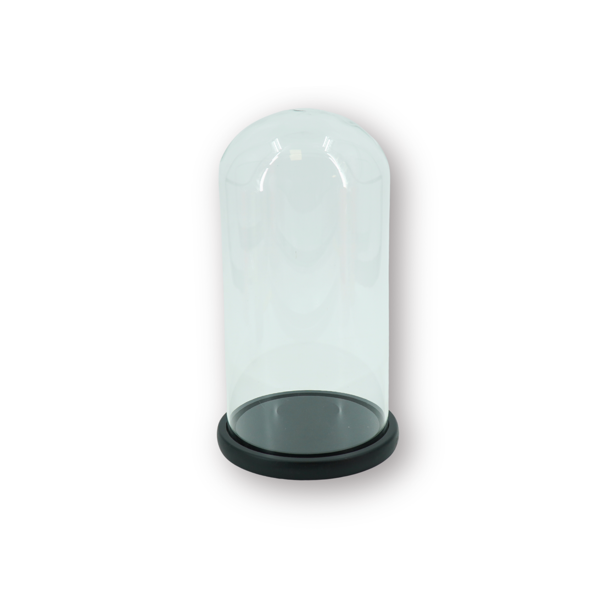 Bell Jar - Glass/Wood - Black - 17x17x32cm