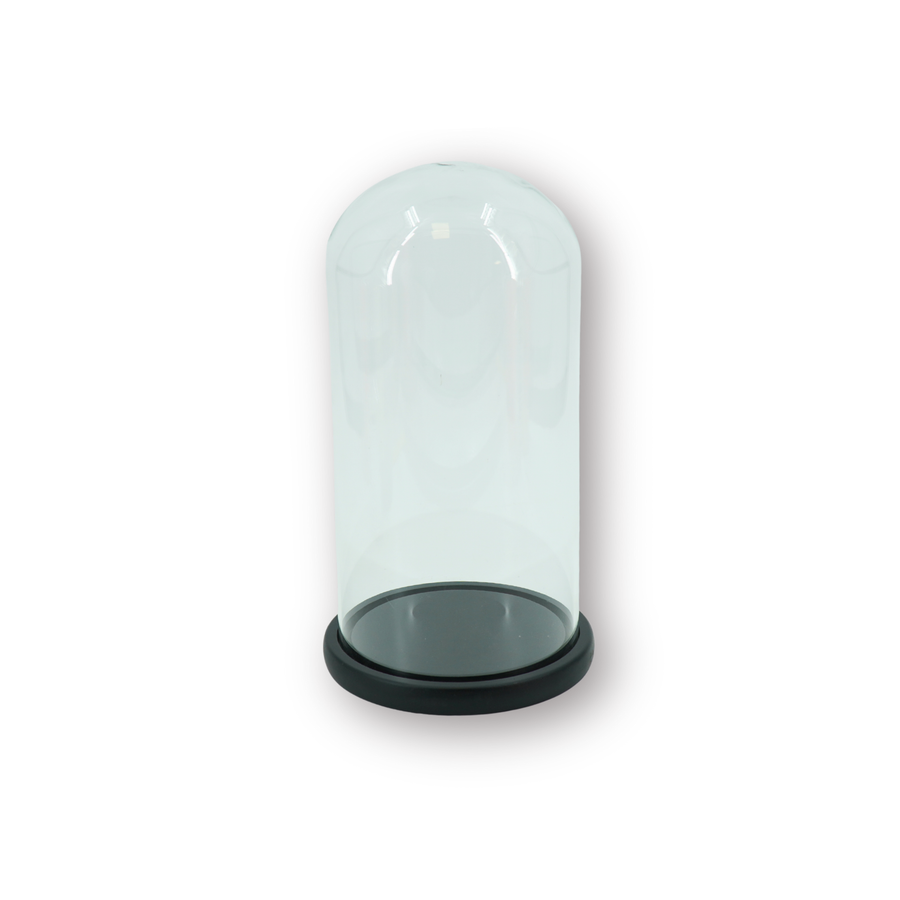 Bell Jar - Glass/Wood - Black - 17x17x32cm