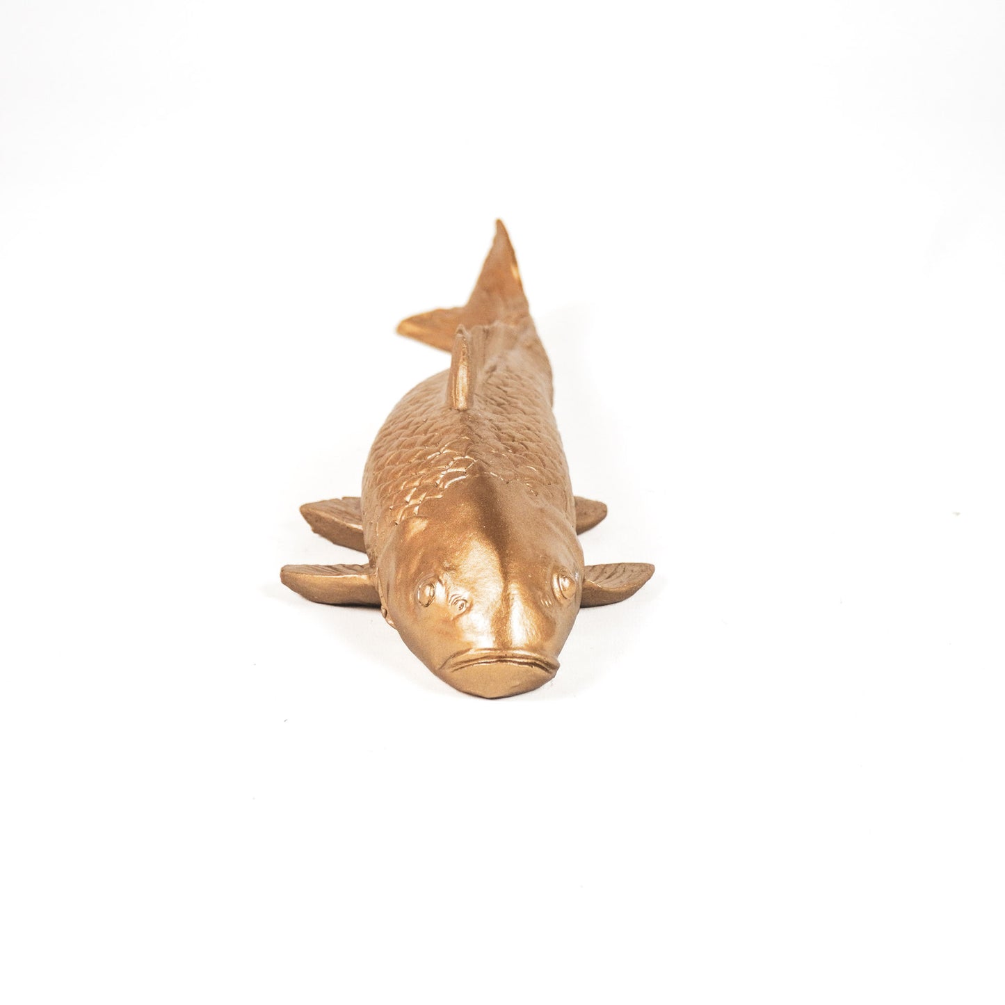 HV Carp Fish- Gold- 21.5x9x18.5 cm