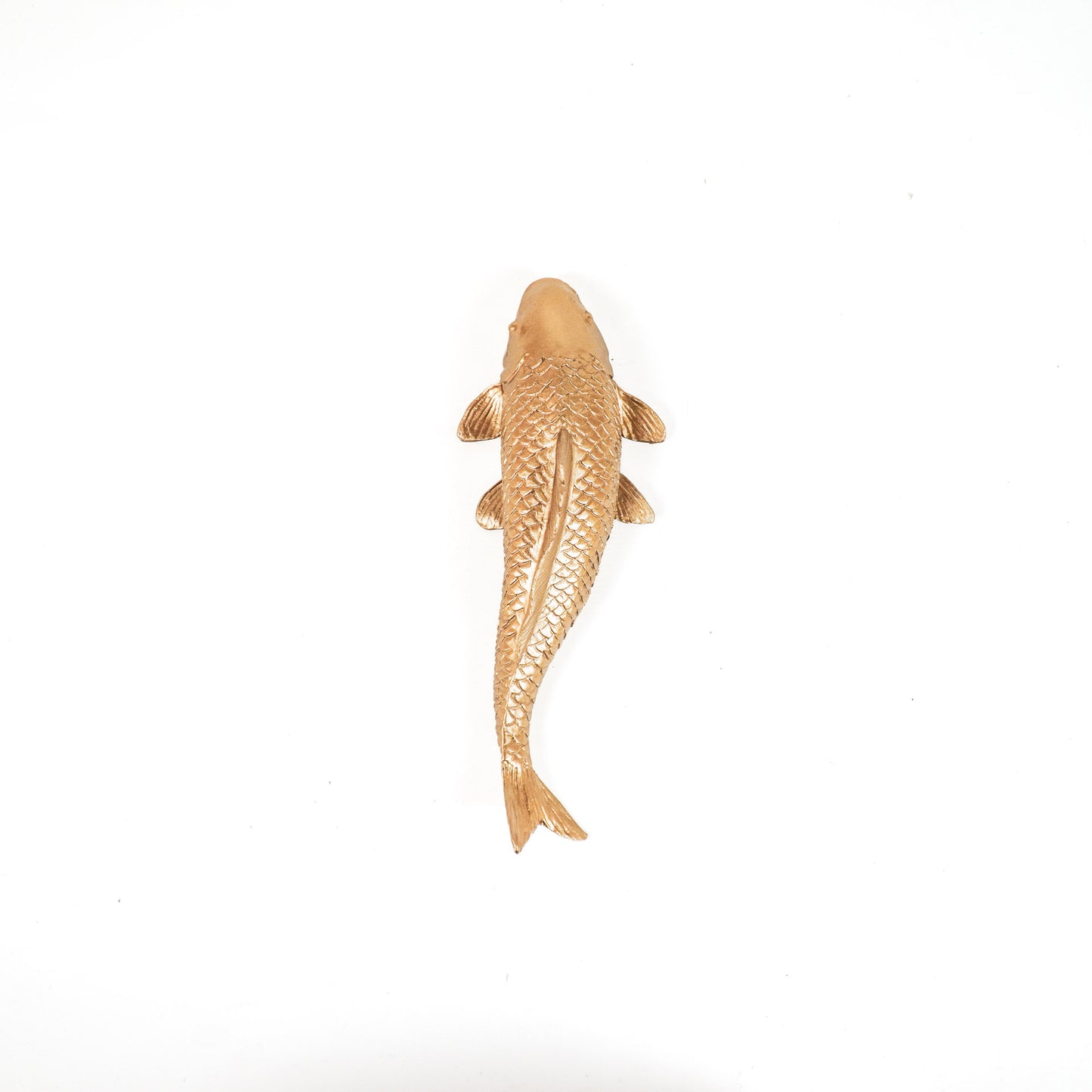 HV Carp Fish- Gold- 21.5x9x18.5 cm