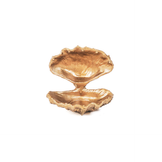 Ornament - Shell - Polyresin - Gold - 12.5x11.5x12cm