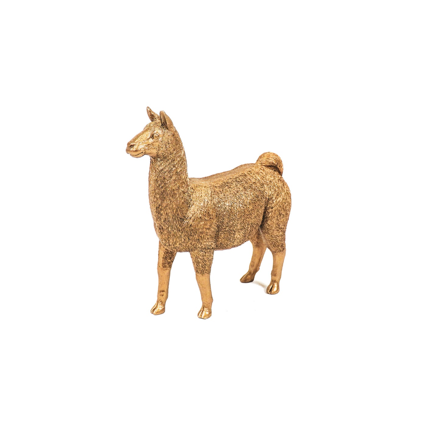 HV Lama - Gold - 19x7,5x22,5cm