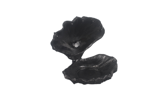 Ornament - Shell/Oyster - Polyresin - Black - 12,5x11,5x12cm